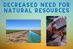 Decreased Need for Natural Resources