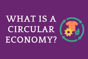 What is a Circular Economy